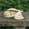 &nbsp;Peaceful Slumbering Angel Garden Statue

Create a serene and peaceful space with our Peaceful Slumbering Angel Garden Statue. Crafted from durable resin, this 5.13"H statue is perfect for both indoor and outdoor use. Use it to honor a loved one or add a touch of tranquility to your garden. Measuring 11.75"W and 7.5"D, it's a beautiful addition to any space.